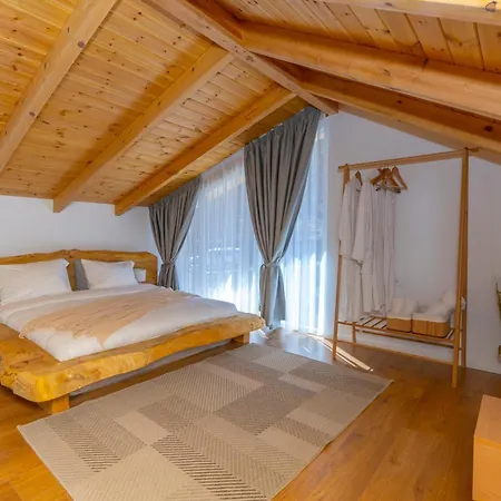 Vidis Chalet Boutique Hotel-2